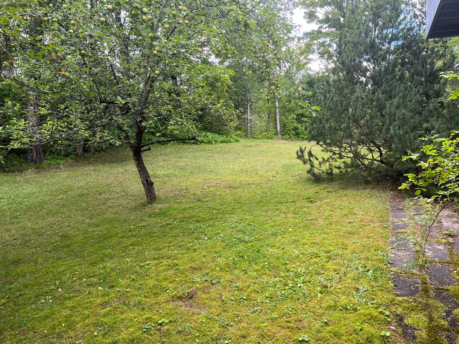 Beliggenheten er skjermet og usjenert, med mye luft og grønt. Galleribilde