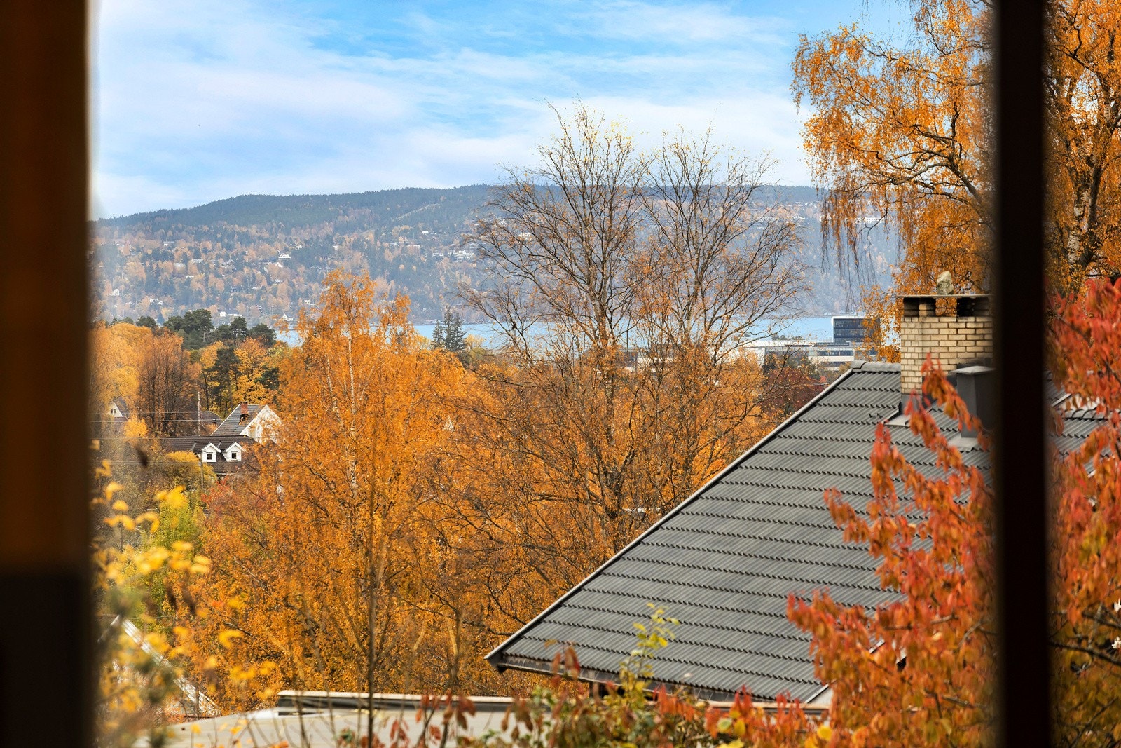 Utsikt mot Nesodden. Galleribilde