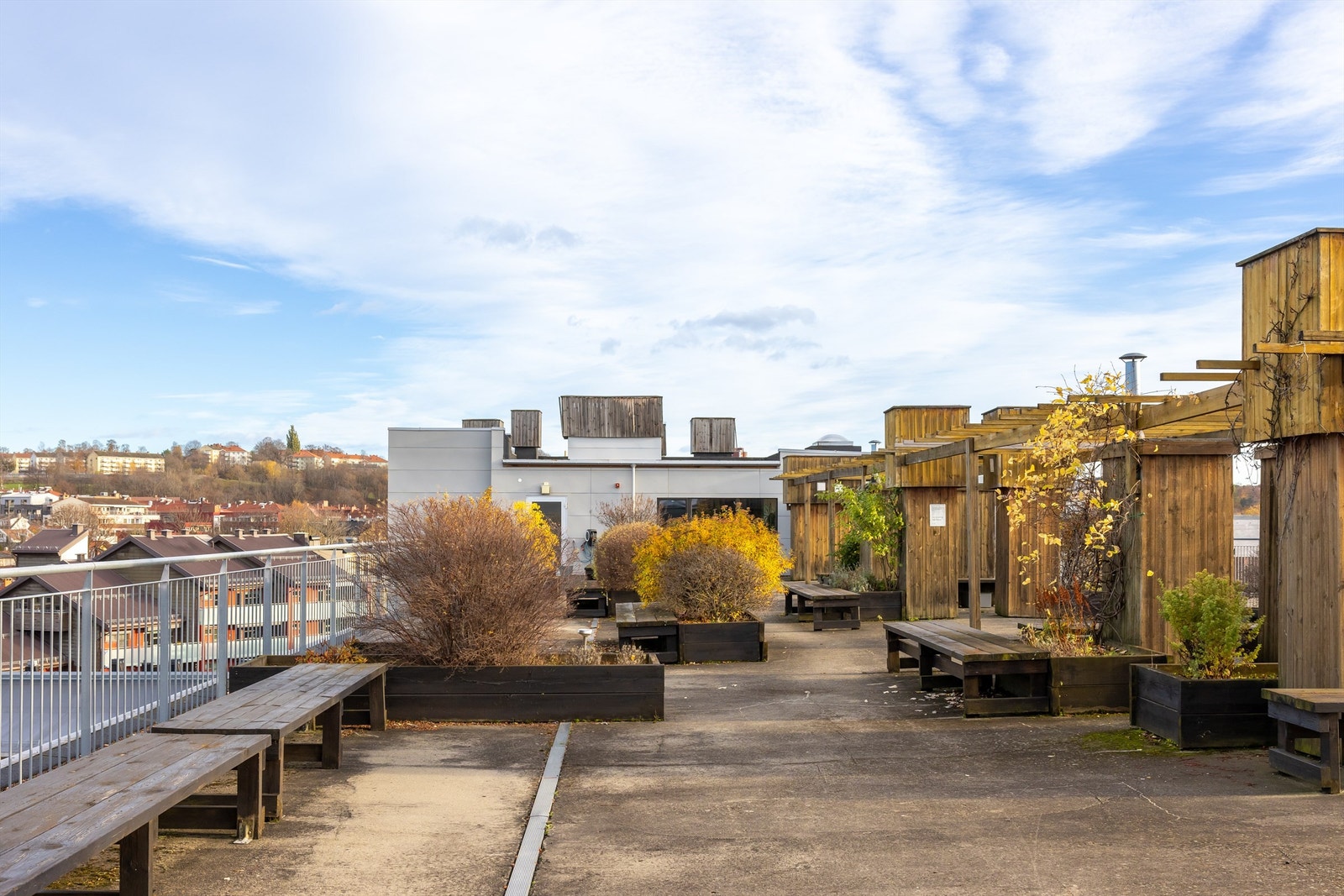 Den store felles takterrassen har flere sittegrupper og pergolaer. Galleribilde