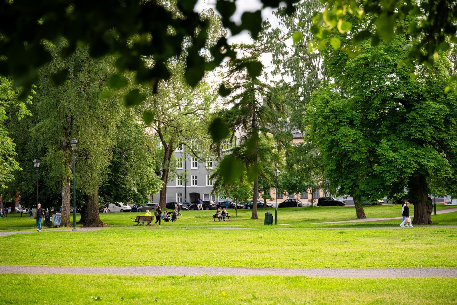 Nærområde. Galleribilde