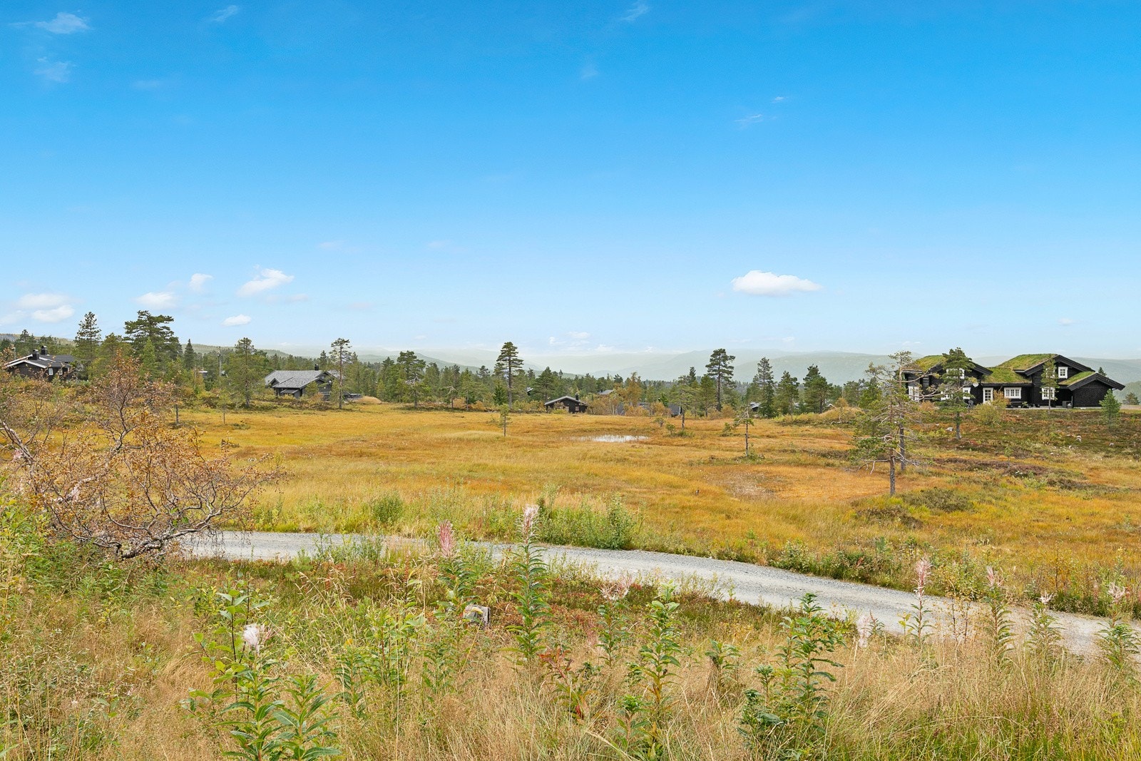 Utsikt fra terrassen på fremsiden av hytta, samt spisestue og stue Galleribilde