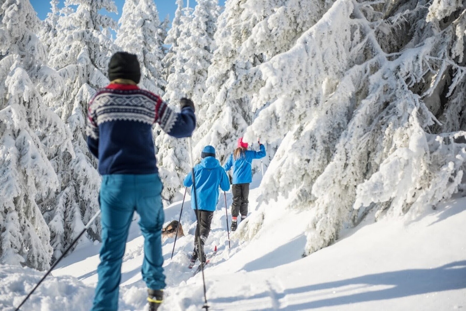 Å utforske naturen på ski, utenfor løyper på fine dager som denne er absolutt noe man bør anbefale, her skapes mange minner. Galleribilde