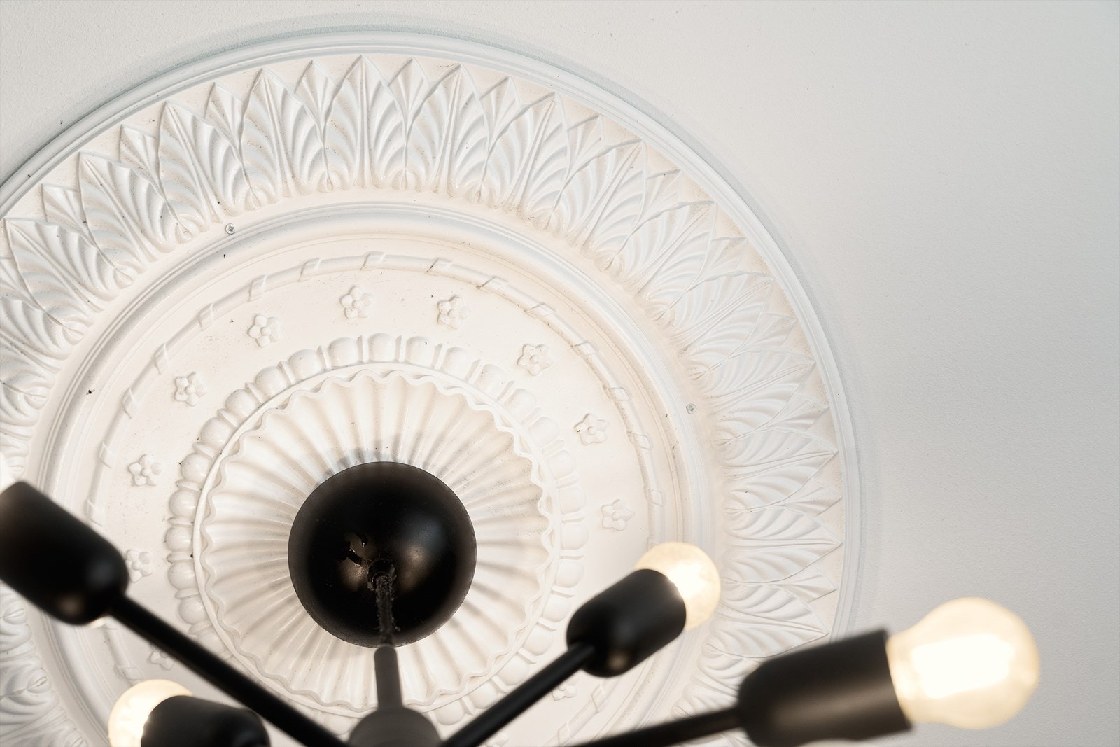 Nydelig rosett i himling. Galleribilde