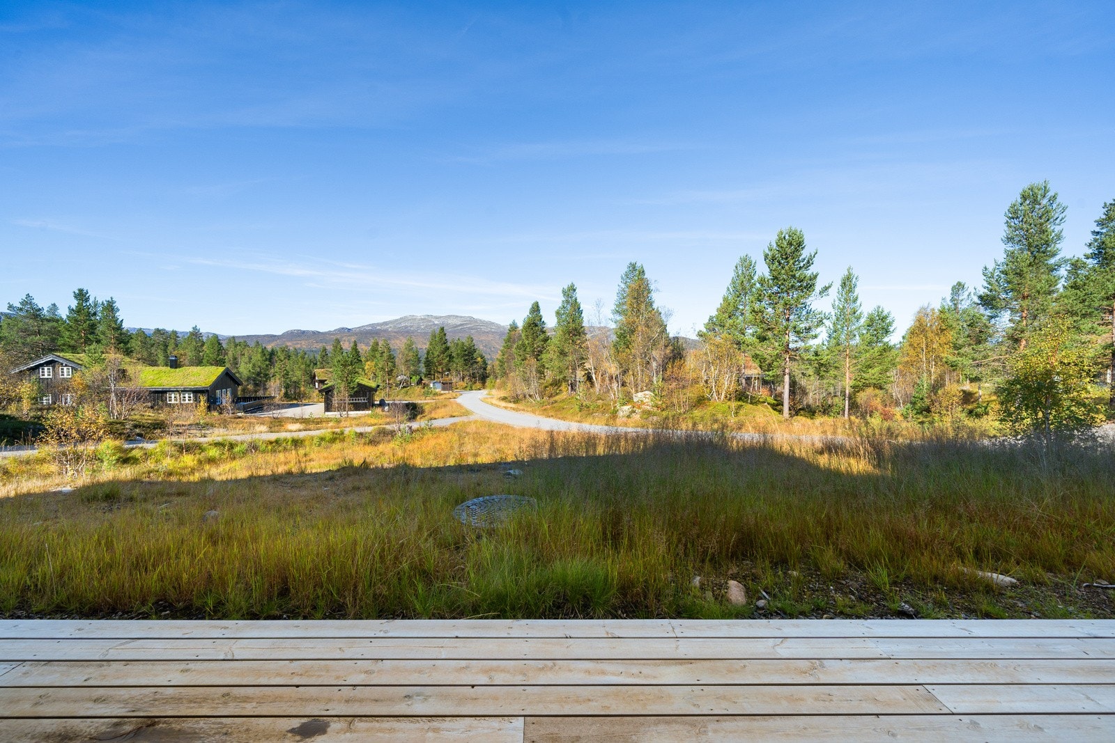 278334_DSC02022 Galleribilde