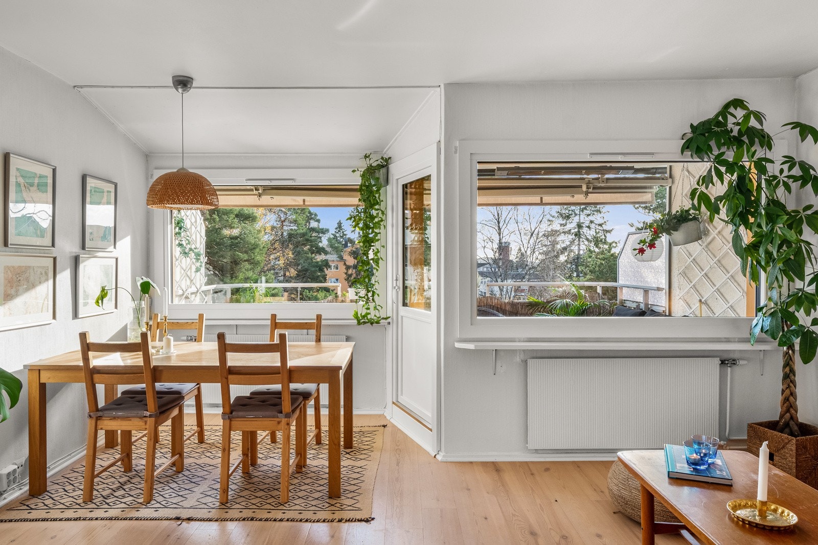 De store vindusflatene fra 2020 vendt mot syd. Galleribilde