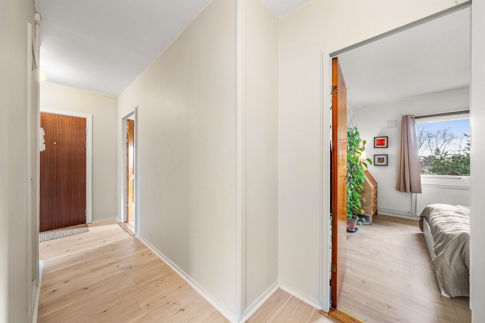 Romslig gang. Galleribilde