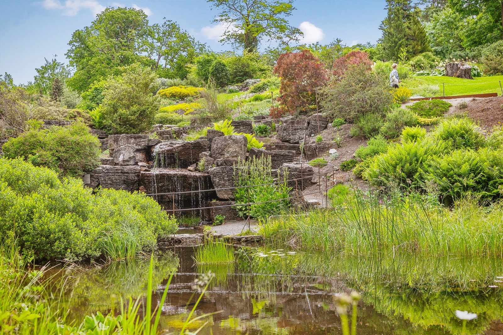 Botanisk Hage som nærmeste nabo. Galleribilde