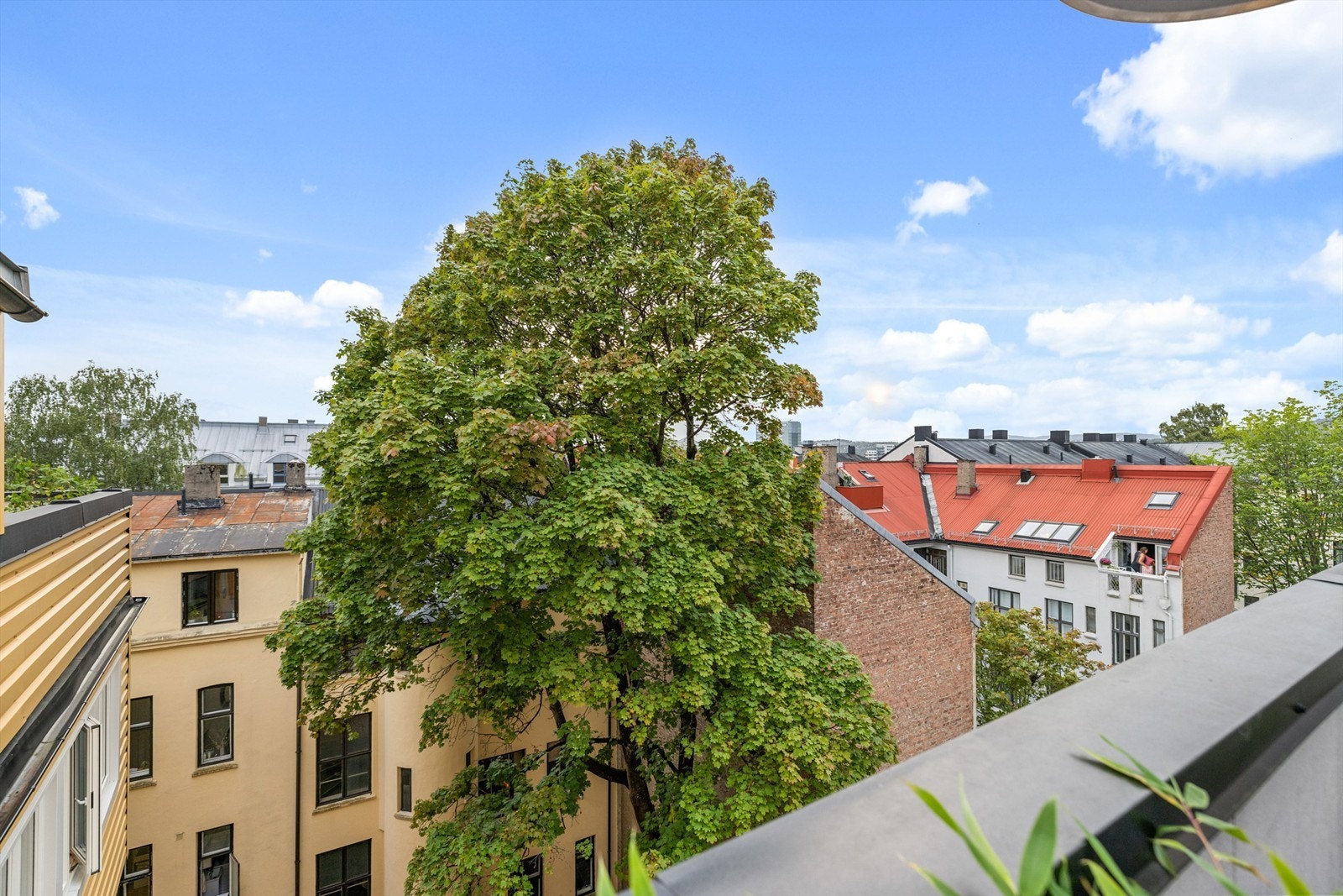 Her er det hyggelig utsikt over nabolagets tak med mye himmel, lys og grønt. Galleribilde