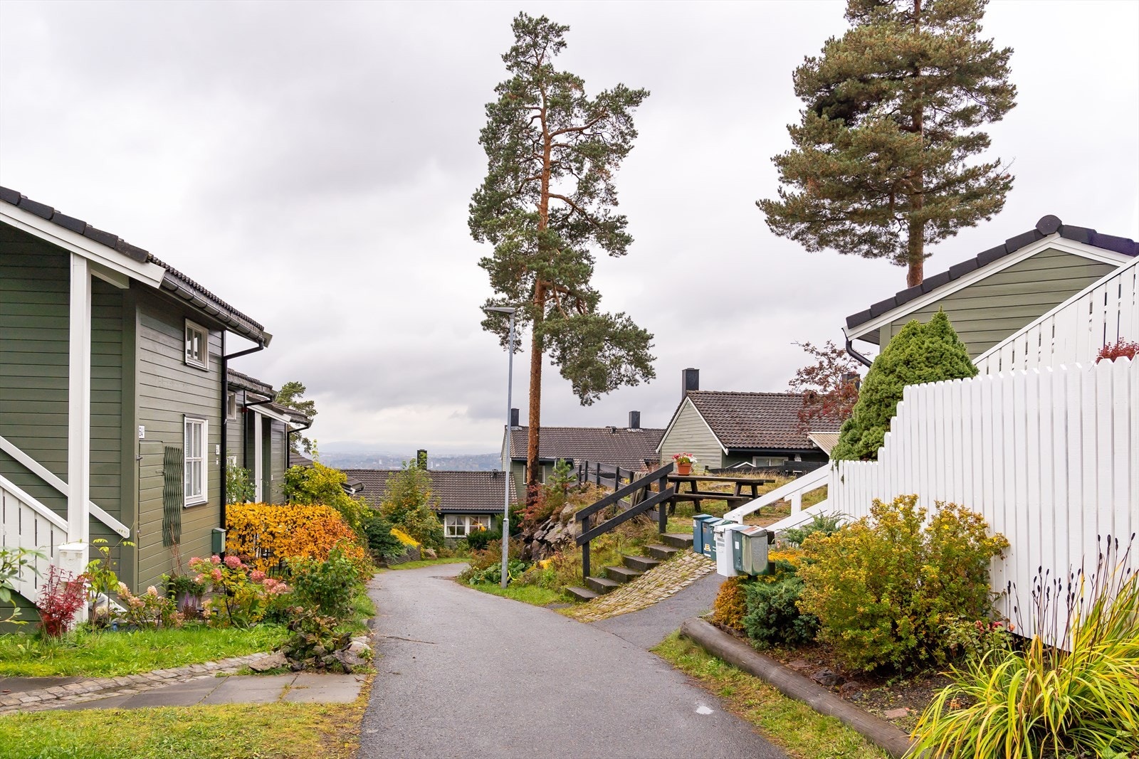 Et hyggelig borettslaget som består av 147 andeler og 2 garasjeanlegg. Galleribilde