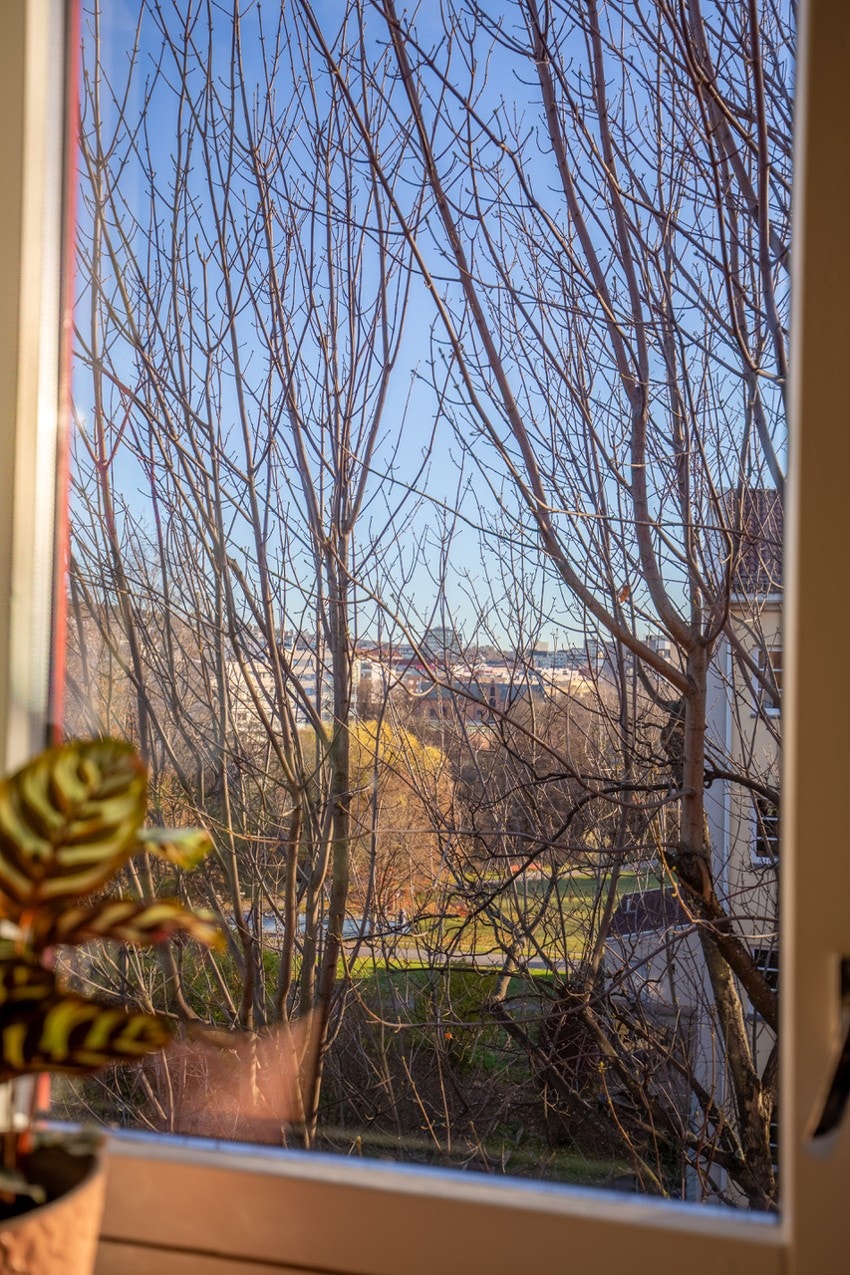 På sommeren er det grønt og frodig utsyn, mens på høsten ser du ut mot Bjølsendumpa. Galleribilde