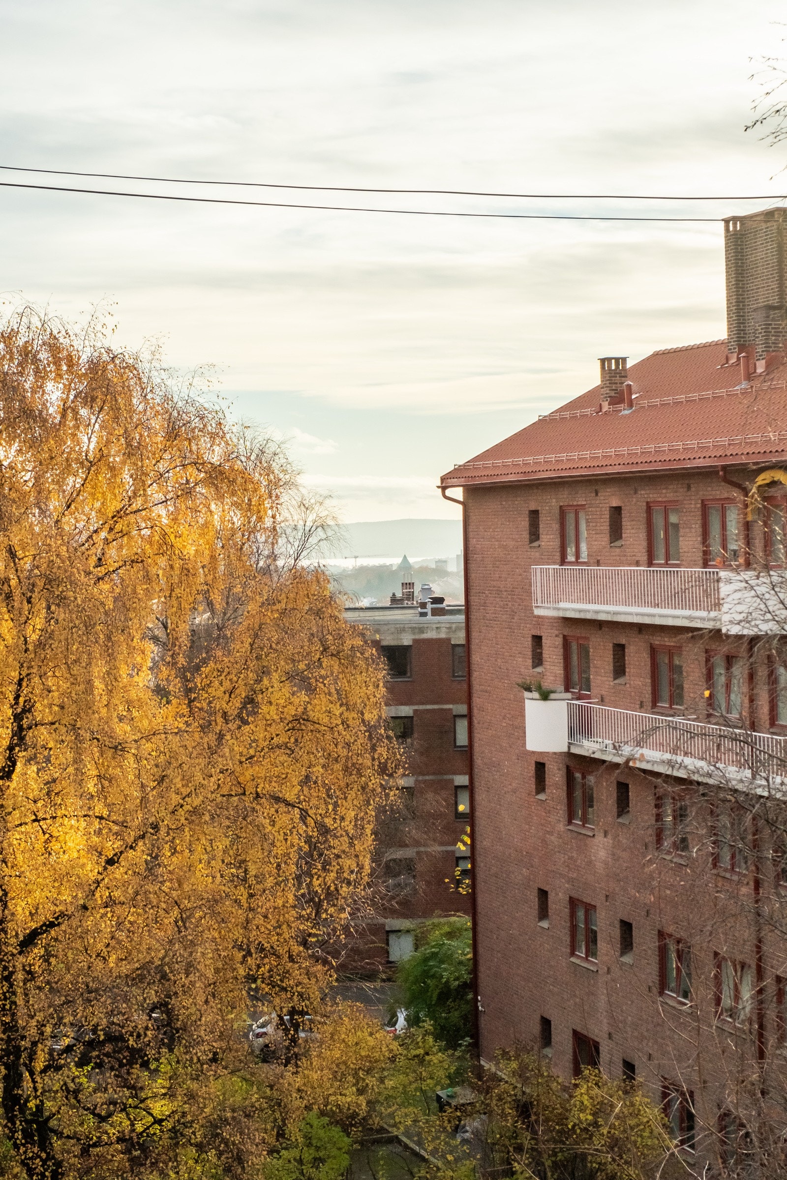 Utsikt er det også mengder av. Herfra ser du til og med Oslofjorden. Galleribilde