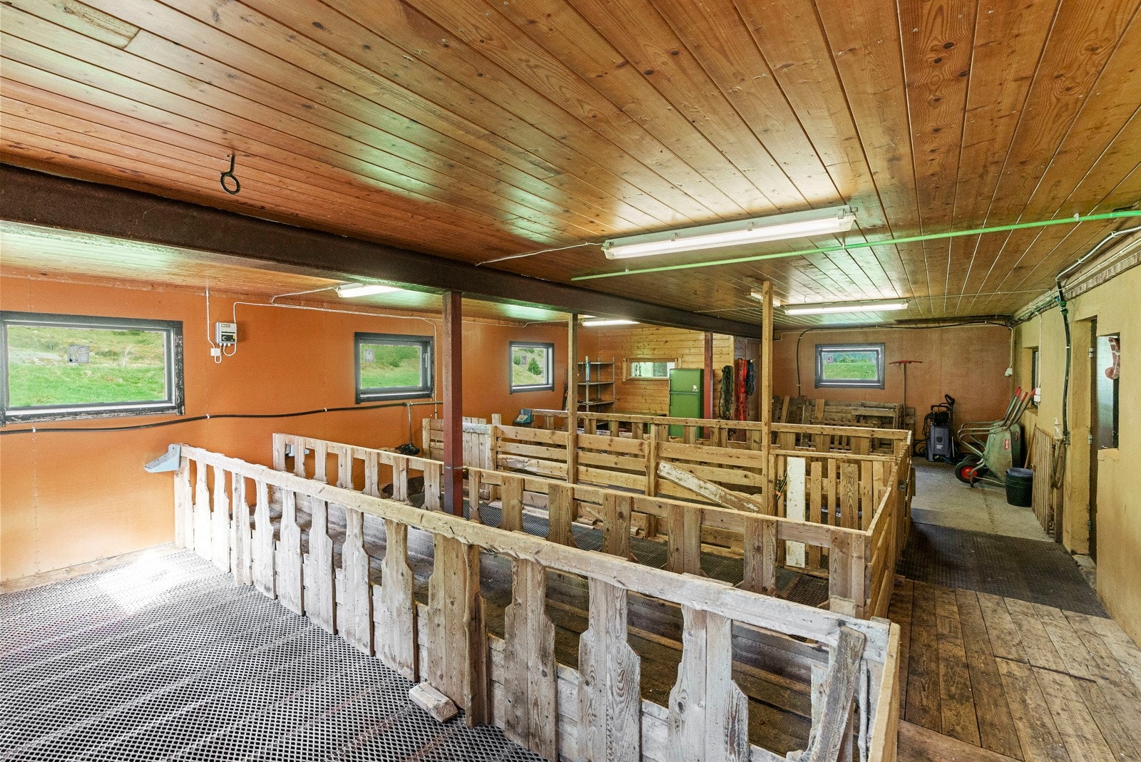 Eier har de siste årene hatt inntil 24 vinterfora sau på gården - På det meste har eier hatt 87 vinterfora sau Galleribilde