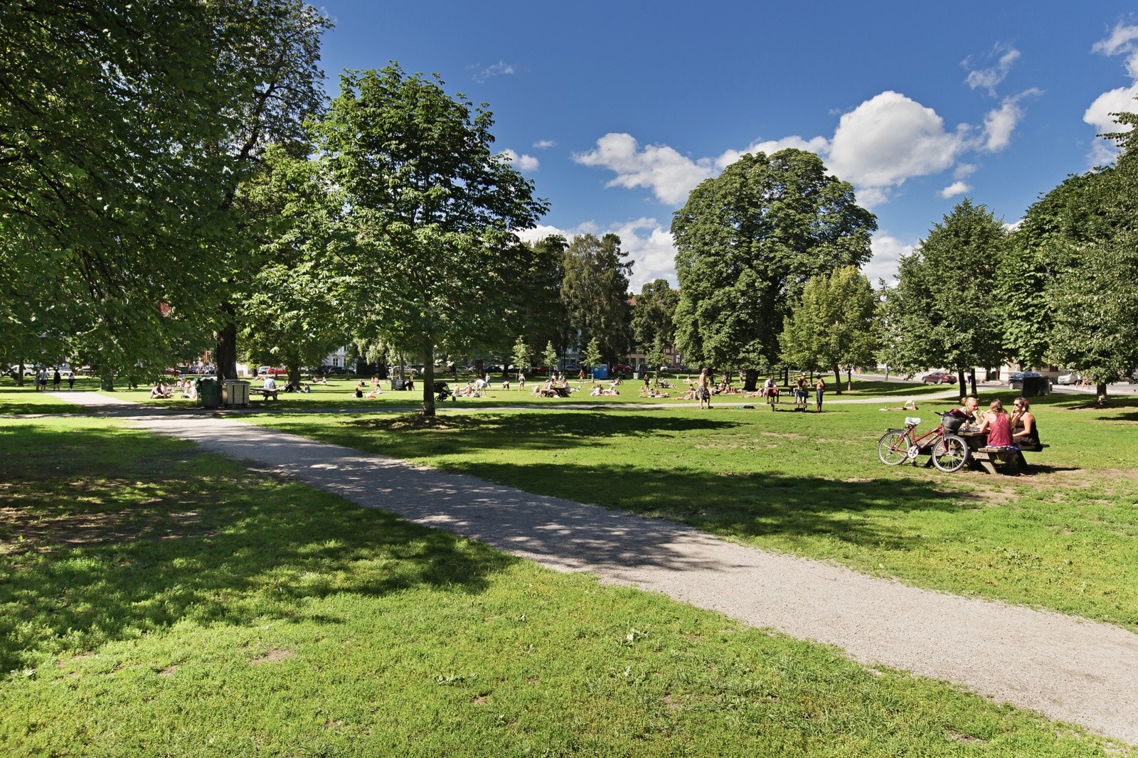Sofienbergparken er en av mange nærliggende parker. Galleribilde