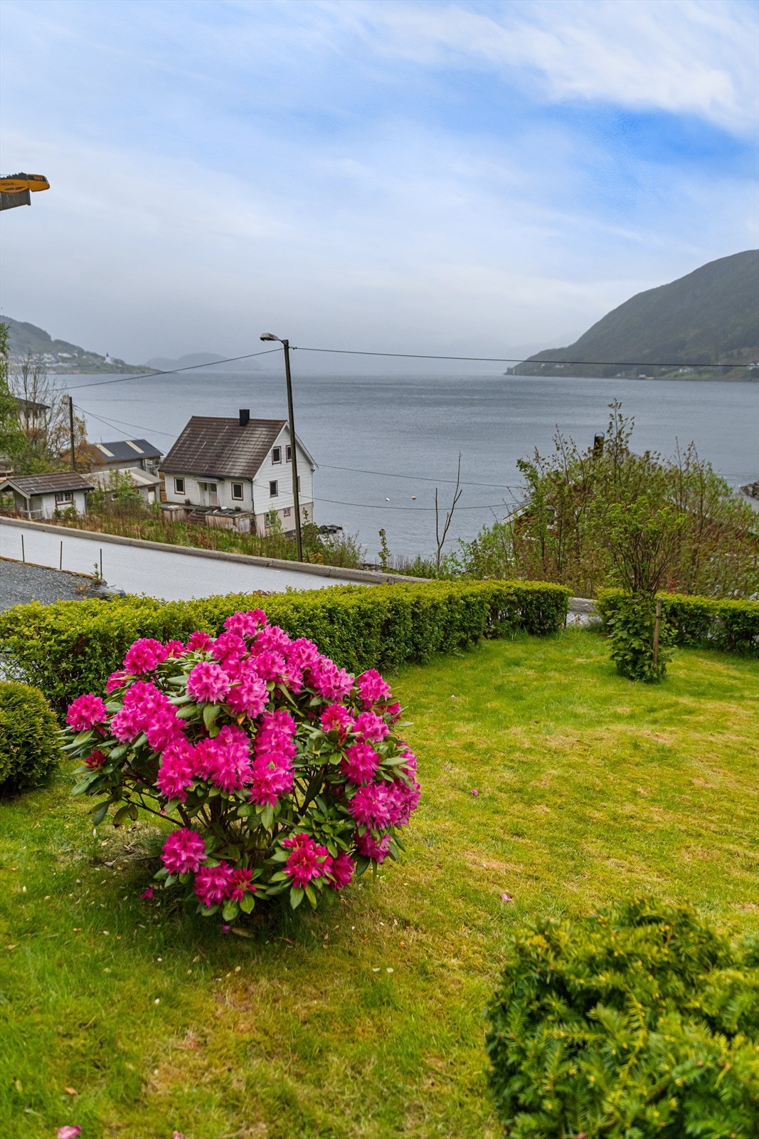 Pent opparbeidet hage med prydbusker og plen Galleribilde