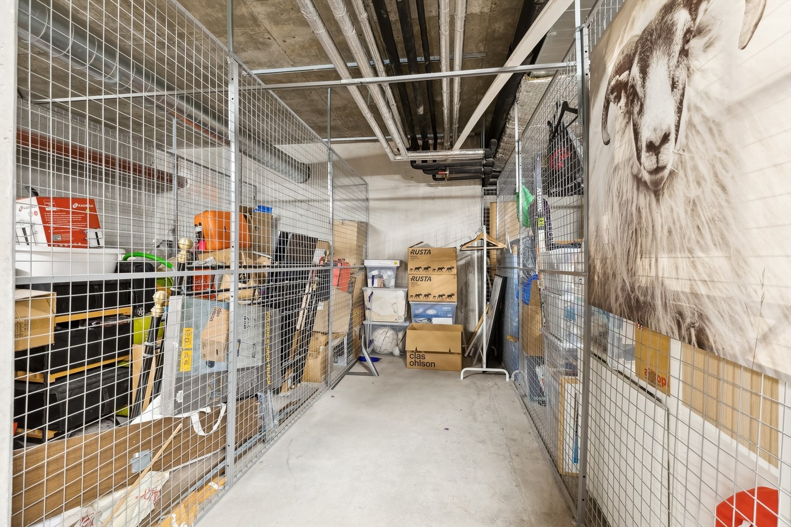 I kjelleren disponerer du en romslig nettingbod. Galleribilde