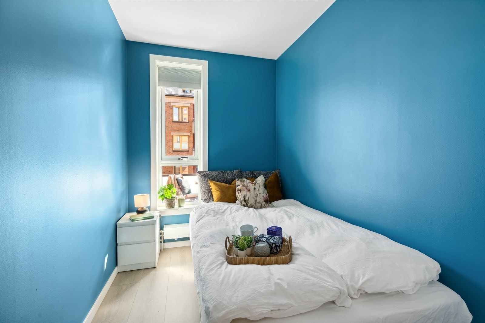 Begge soverommene er malt i en sprek blåfarge og har et pent laminatgulv. Galleribilde