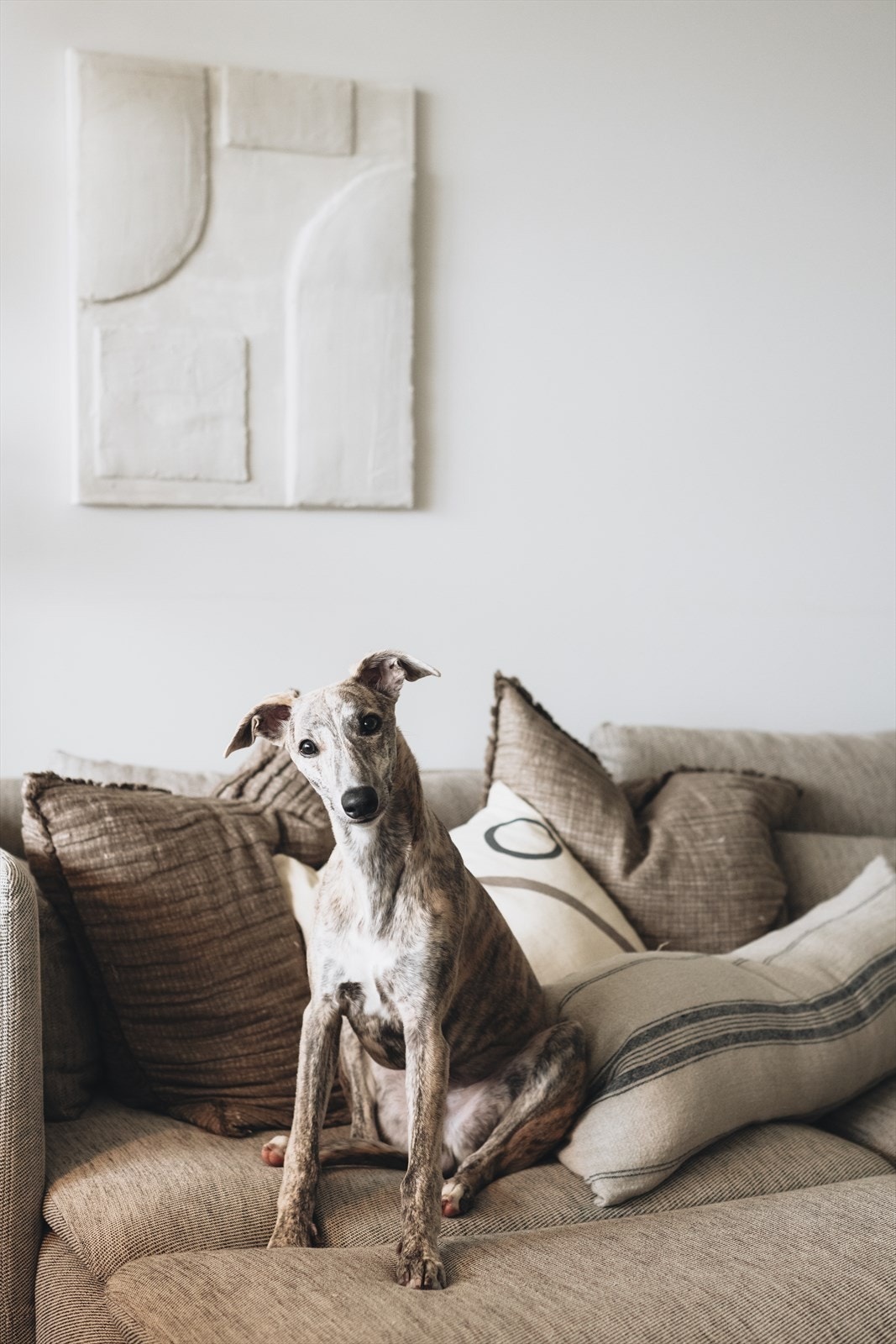 Dyrehold er tillatt! Galleribilde