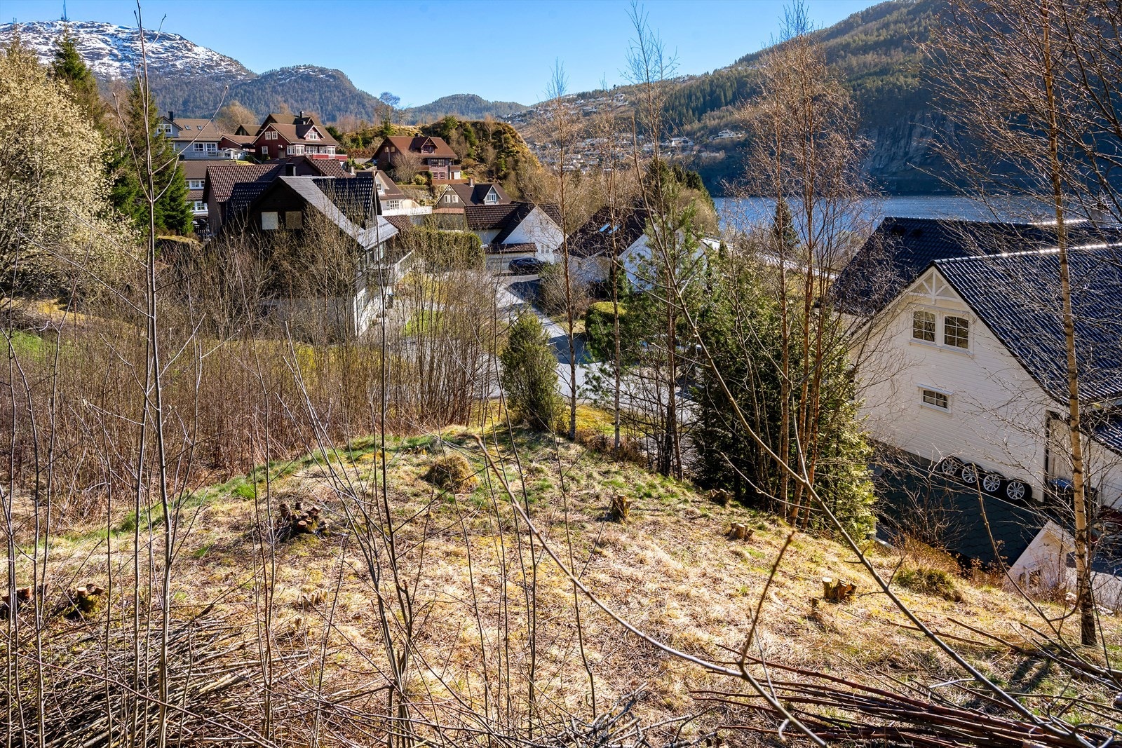 Tomta ligg i eit solrikt område Galleribilde