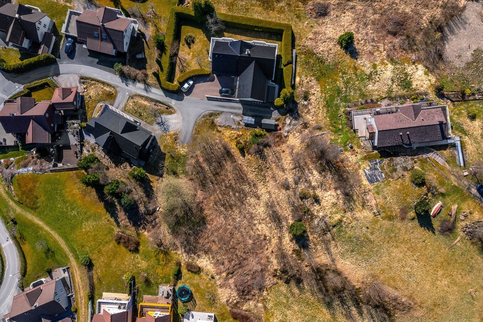 Flott utsikt frå tomta Galleribilde