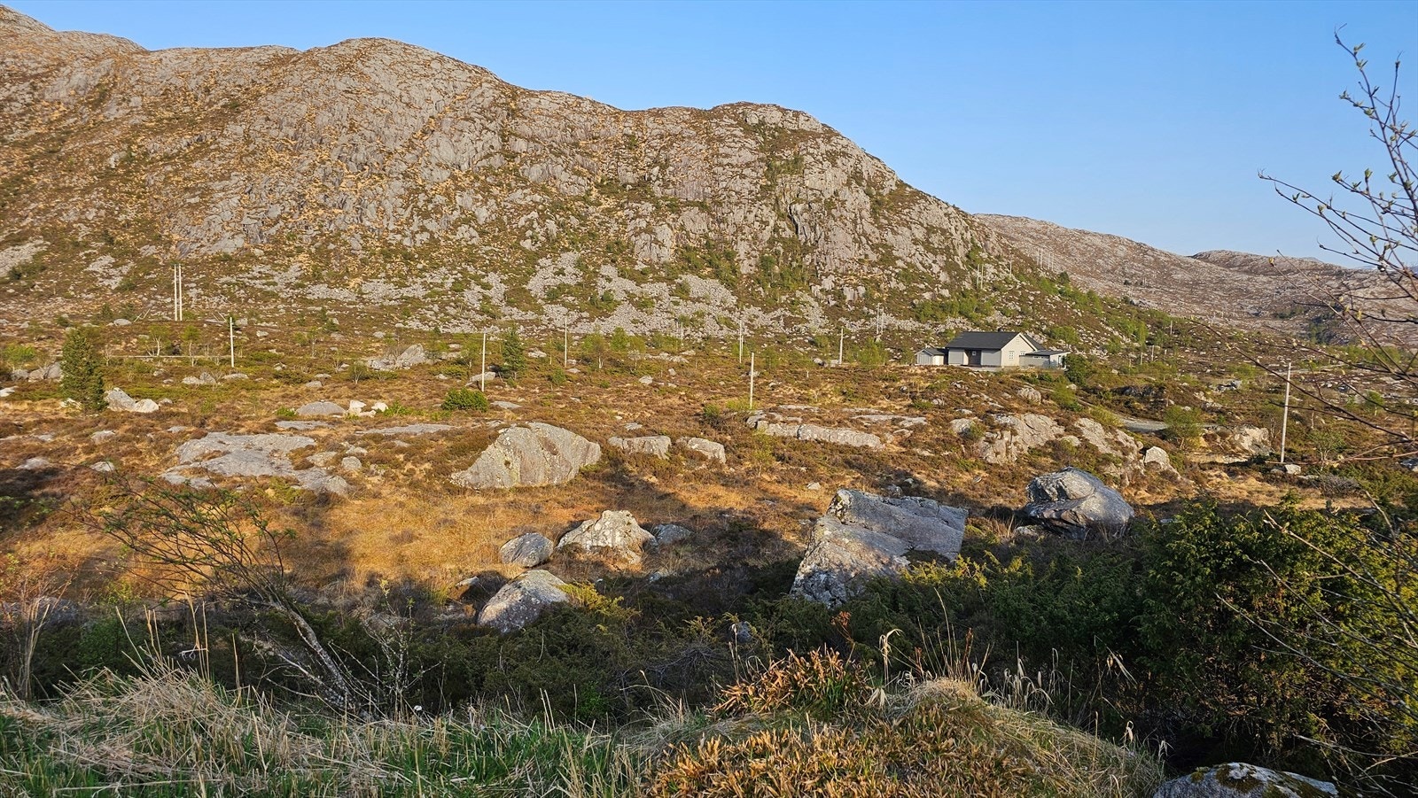 01Fasade_2.jpg Galleribilde