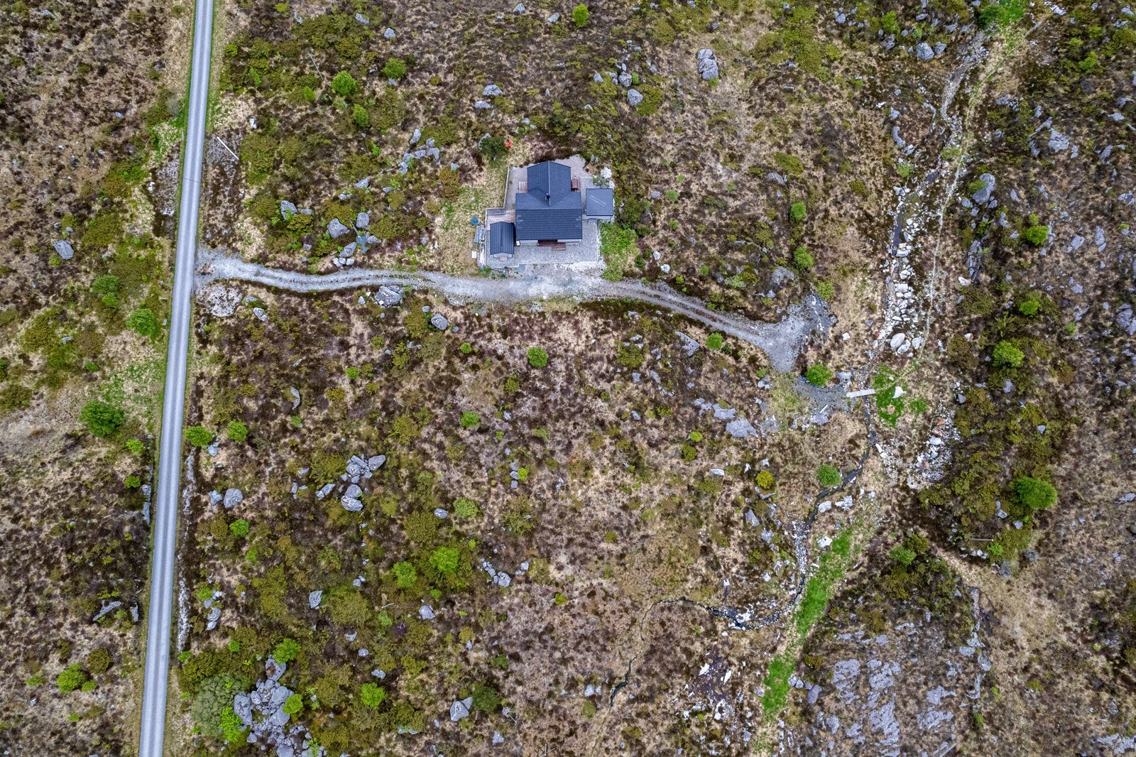 3159402.jpg Galleribilde