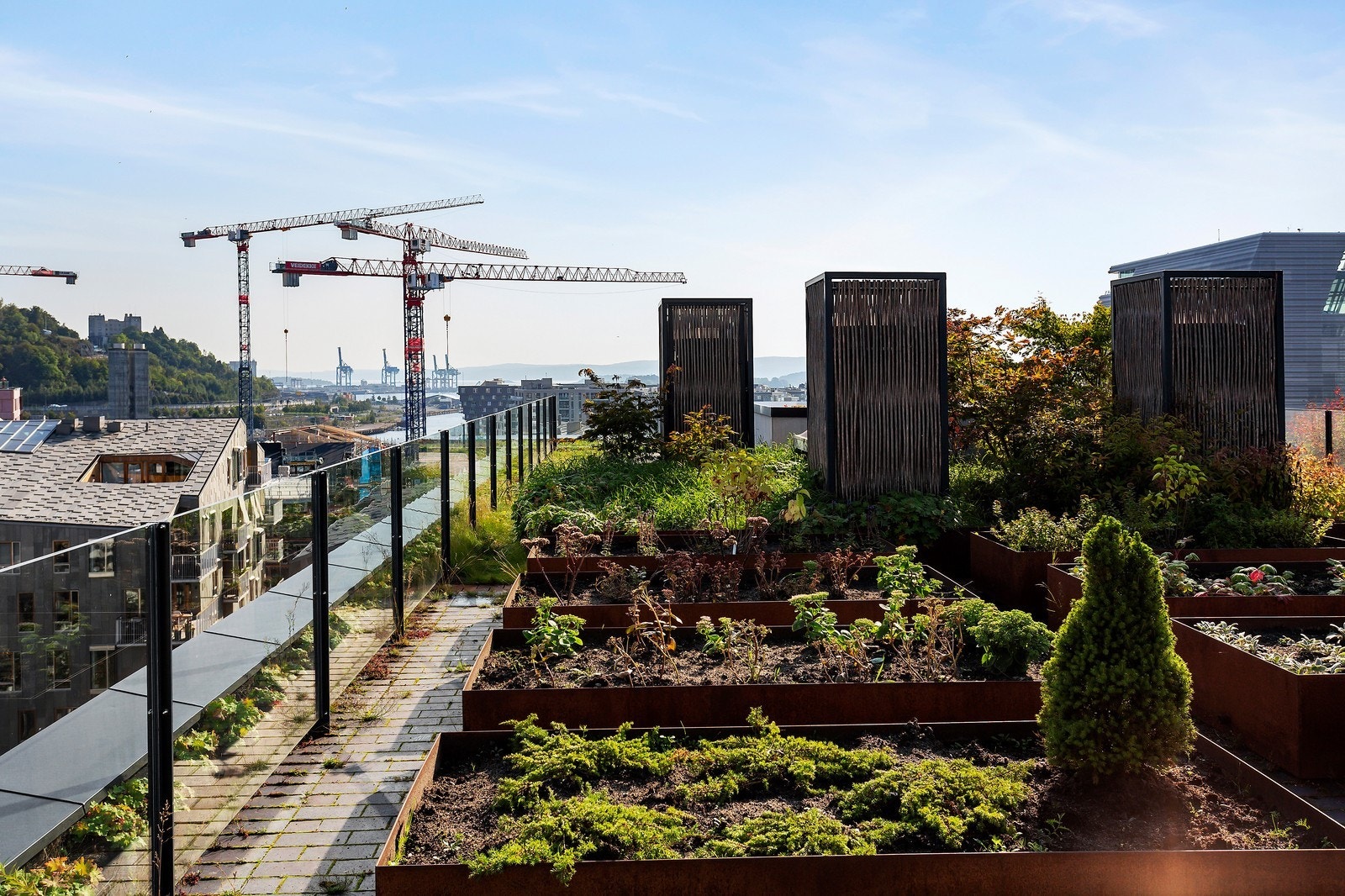 Fantastisk felles takterrasse. Galleribilde
