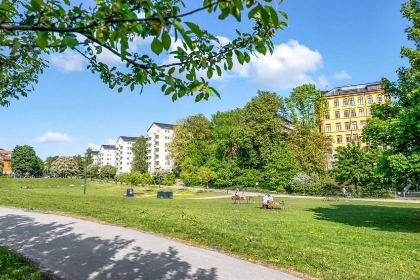 Nærområde - Iladalen park. Galleribilde
