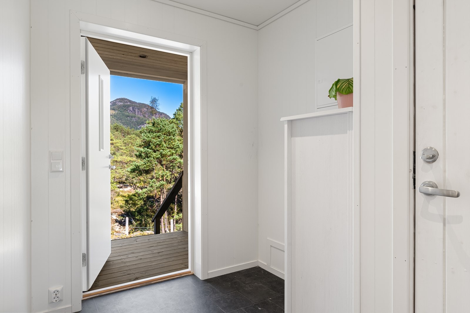 DSC05082 Galleribilde