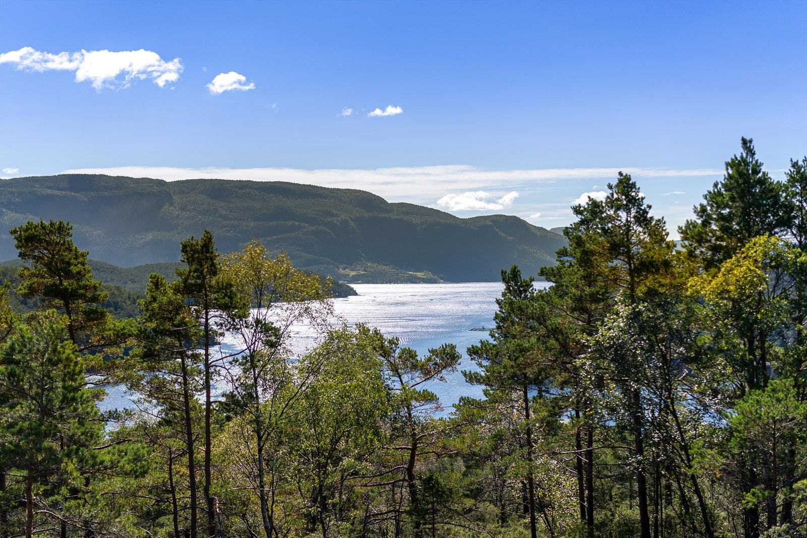 DSC05158 Galleribilde