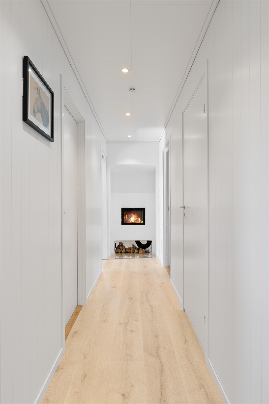 DSC05086 Galleribilde