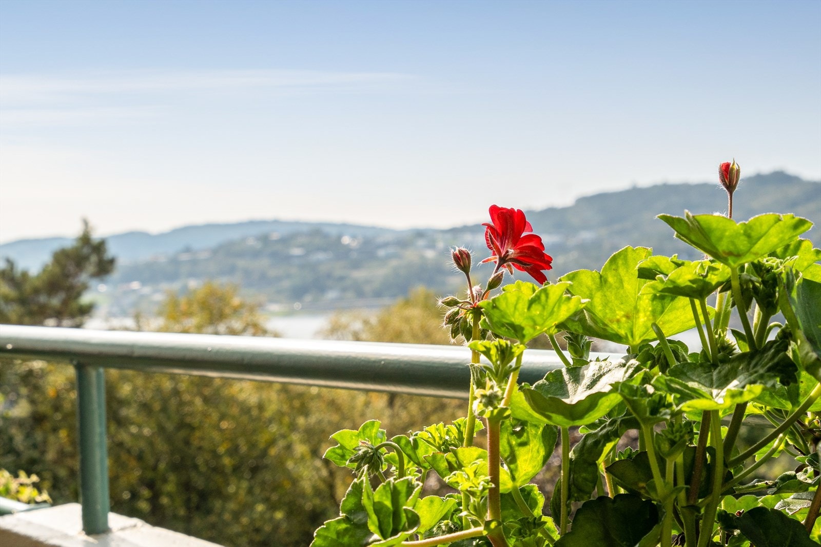 Her bor du tilbaketrukket, samtidig som du har kort vei til "alt"! Galleribilde