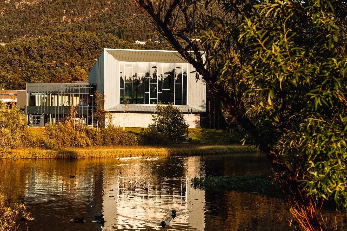 Nye Ortun svømmehall ligger i nærområdet. Galleribilde