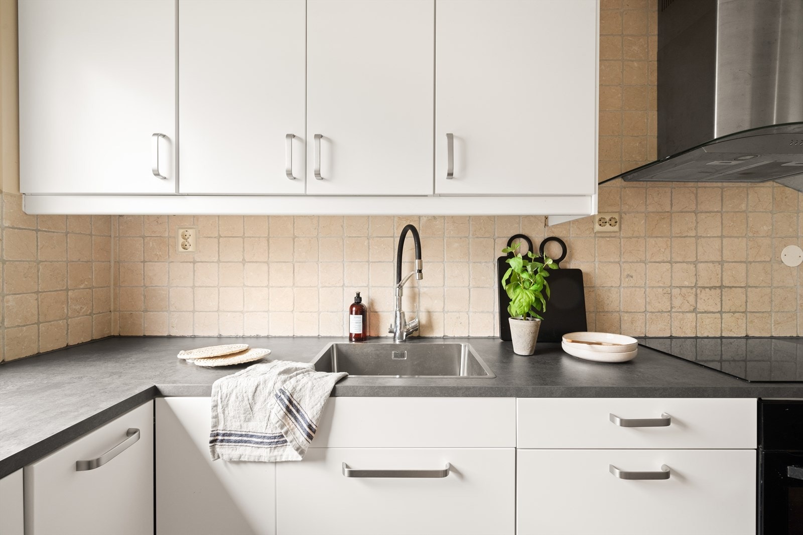 Av integrerte hvitevarer er det induksjonsplatetopp, stekeovn og oppvaskmaskin Galleribilde