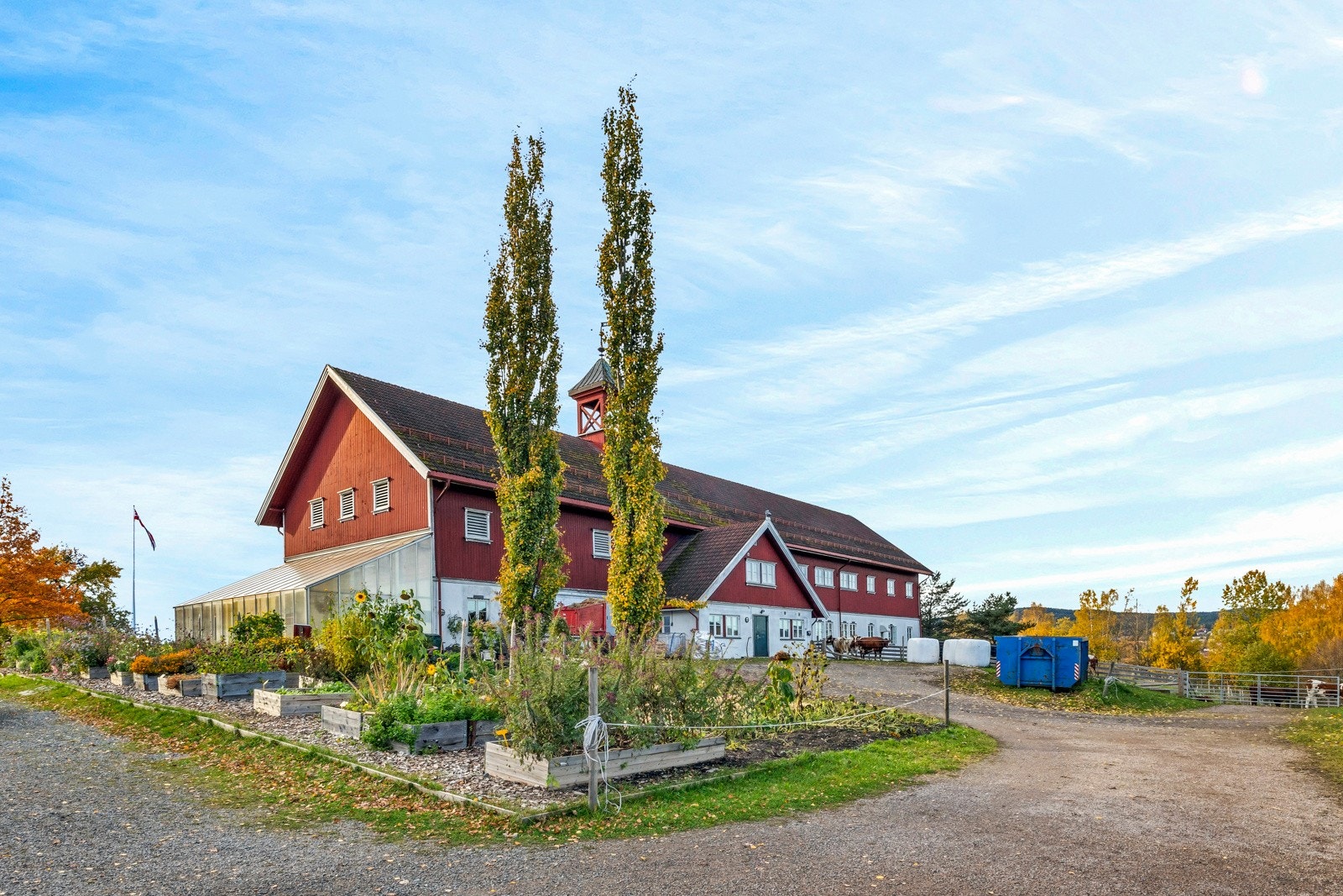 Nordre Lindeberg gård kan anbefales et besøk - gården er en besøksgård med et allsidig husdyrhold Galleribilde