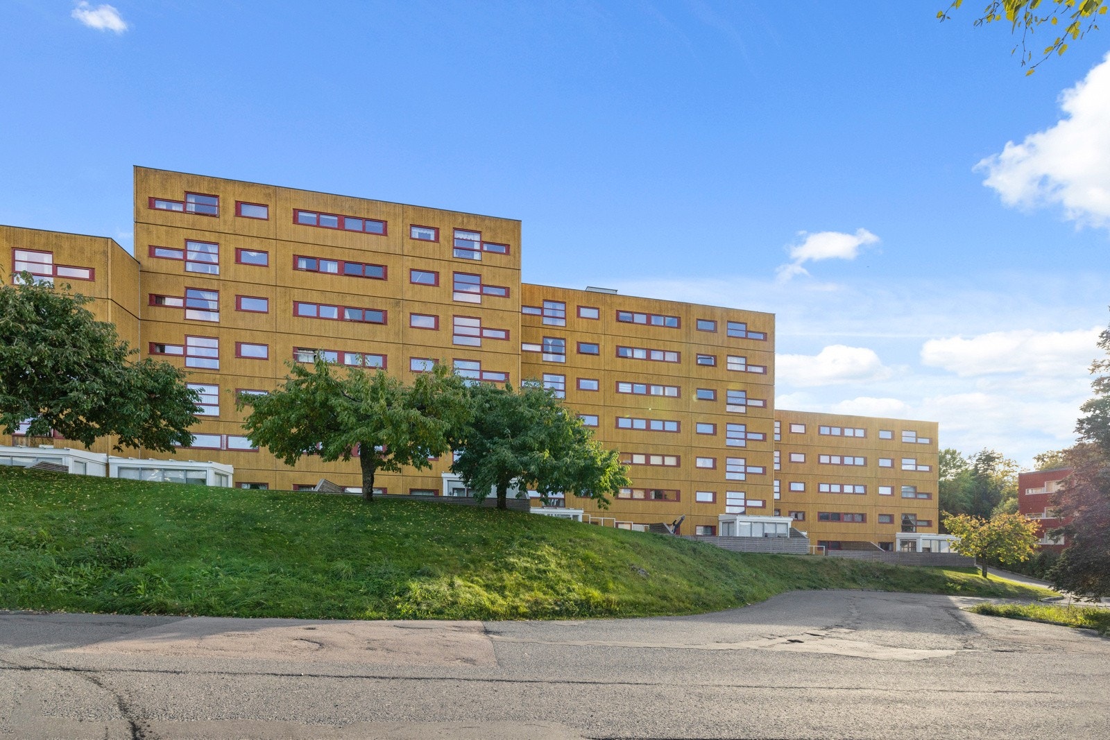 Fellestomten er pent opparbeidet med plen og diverse prydbusker Galleribilde