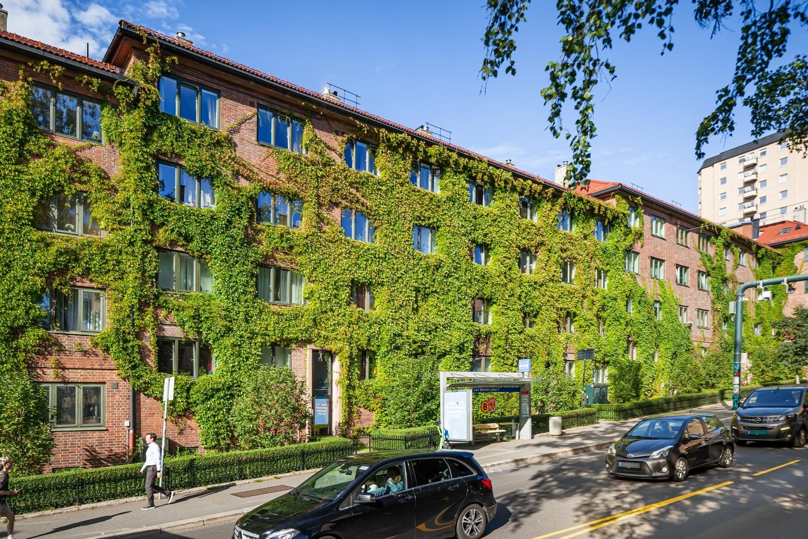 I sommerhalvåret forvandles fasaden til en grønn oase! (august 2024). Galleribilde