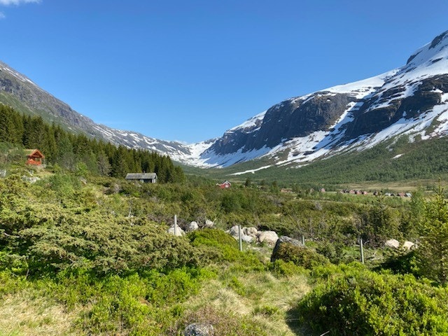 Utsikt frå tomta mot dalen i aust Galleribilde