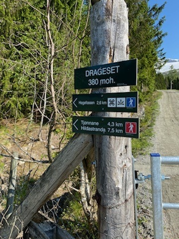 Mange fine turmulegheiter i nærområdet Galleribilde