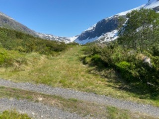 Siste delen av vegen inn til hytta Galleribilde