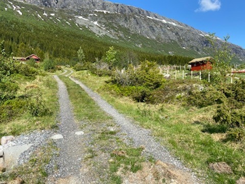Frå Dalsvegen er det ca 100 meter privat felles veg opp til hytta Galleribilde