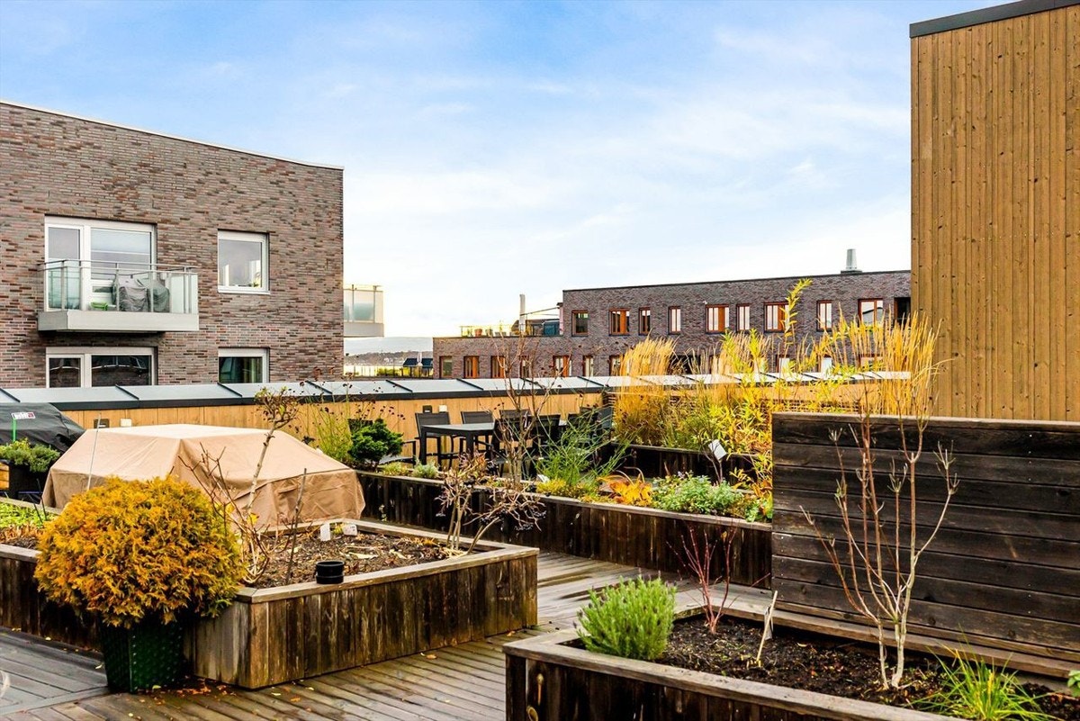 Plass til utemøblement, beplantning og grill. Galleribilde