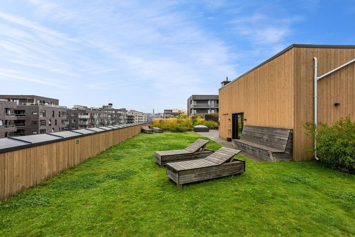 Felles takterrasse. Galleribilde