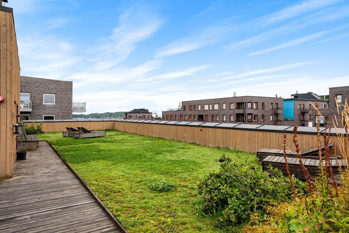 Felles takterrasse. Galleribilde