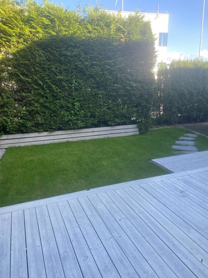 Selgers sommerbilder. Galleribilde