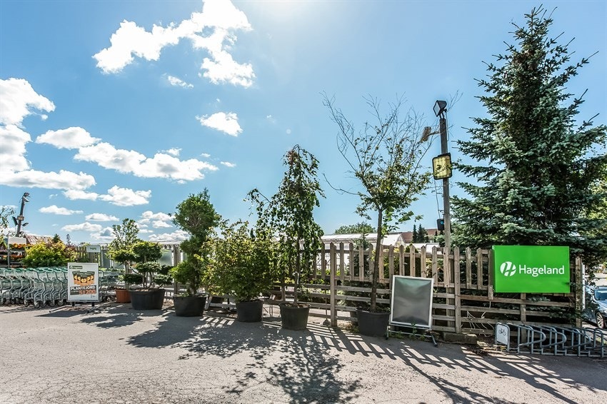 Kun en kort tur unna finner du Nordtvet gartneri, blomster til både inne-og uteområde. Rundt juletider er det som et eventyr, det fortjener et besøk. Galleribilde