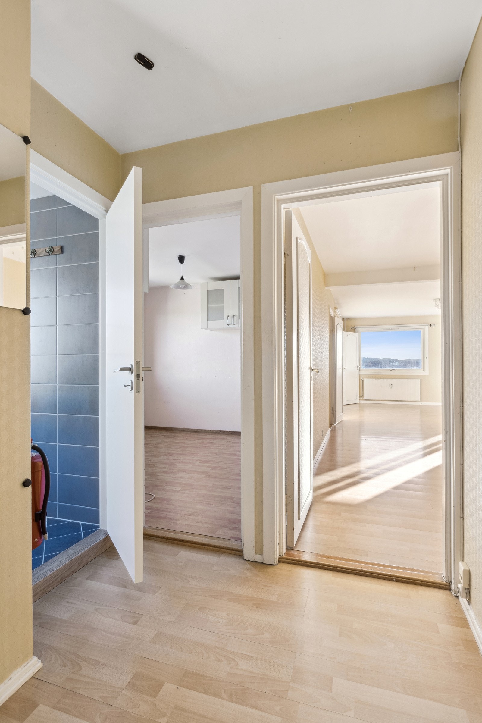 Entreén er et fint knytepunkt i leiligheten. Dette er et godt rom til å ønske venner og familie velkommen. Galleribilde