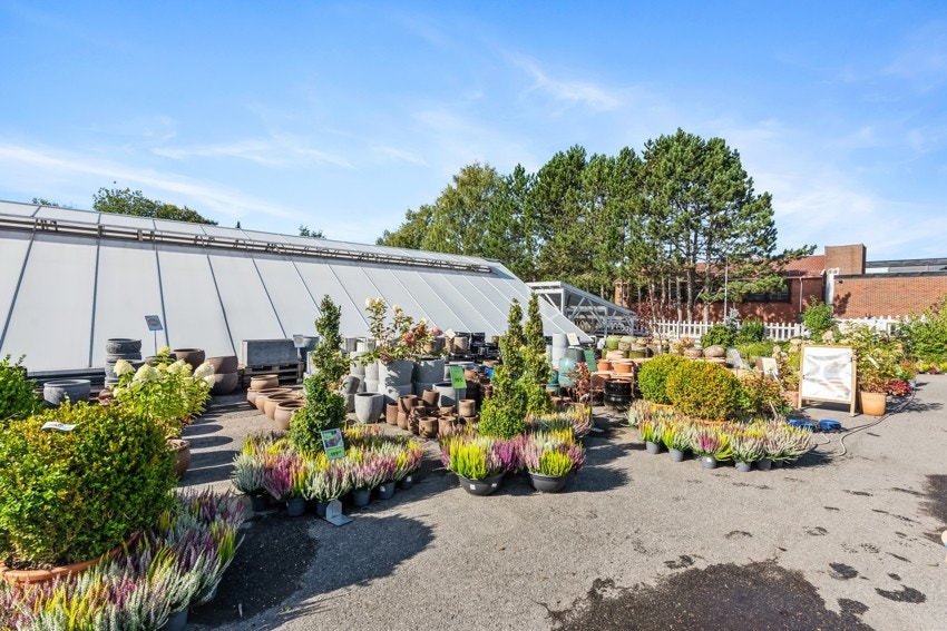 Nordtvet gartneri er et sted hvor du finner alt av ute-og inneplanter. Rundt juletider er det et lite eventyr å ta turen på besøk. Galleribilde