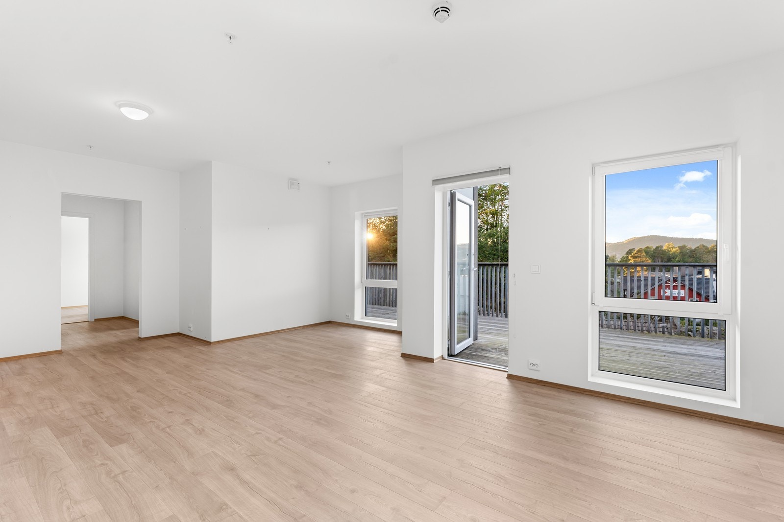 _DSC8775 Galleribilde