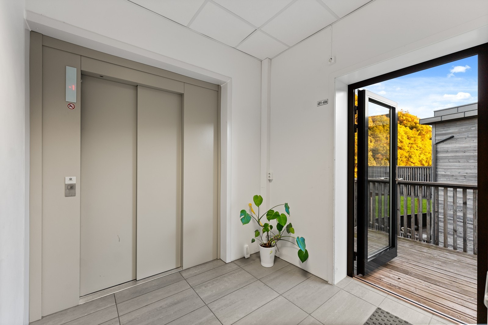 _DSC8830 Galleribilde