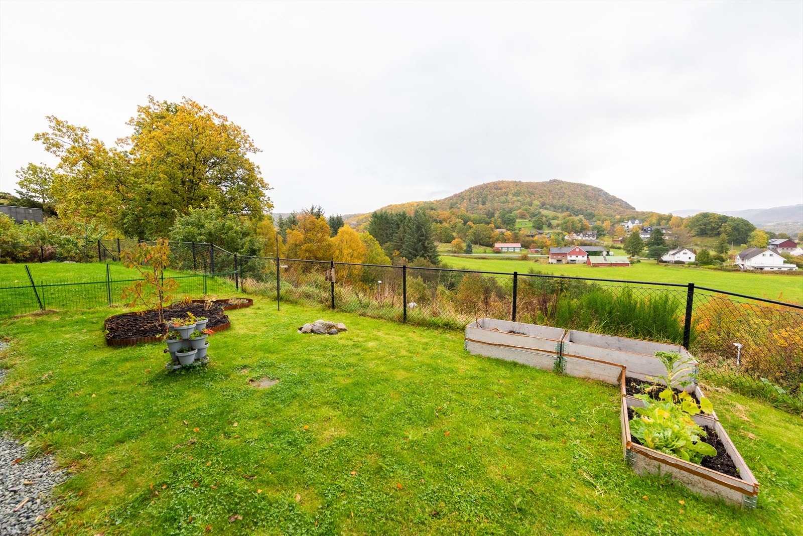 _NEG7718.jpg Galleribilde